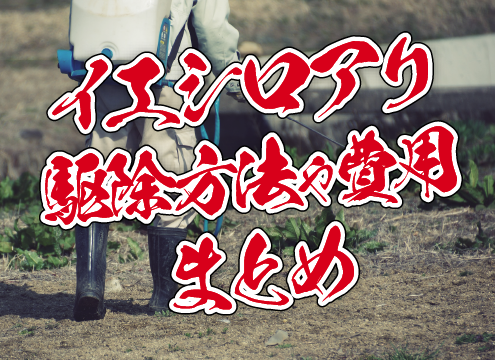 イエシロアリの駆除⽅法や費⽤