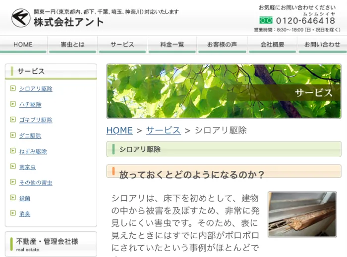 アント