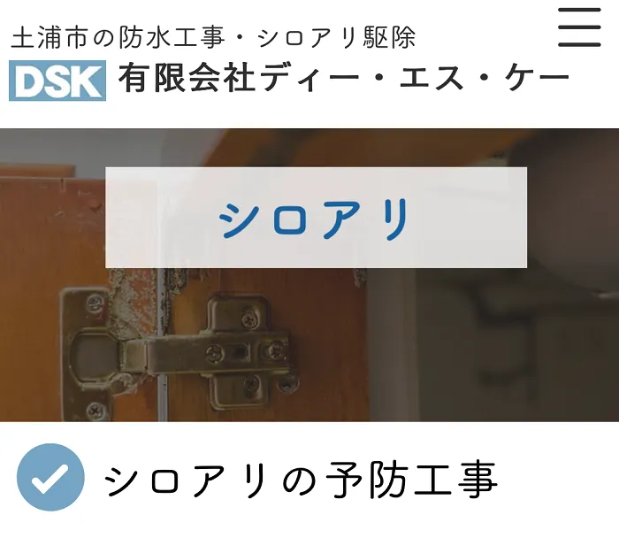 ディー・エス・ケー