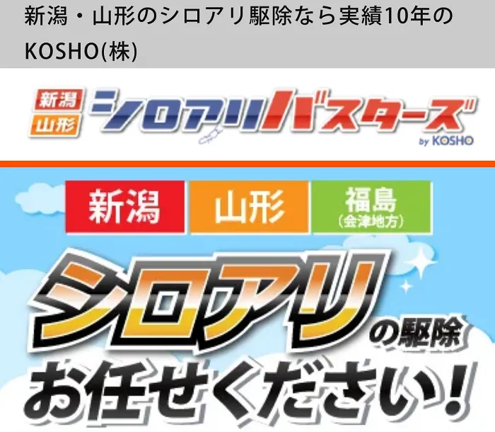 シロアリバスターズ
