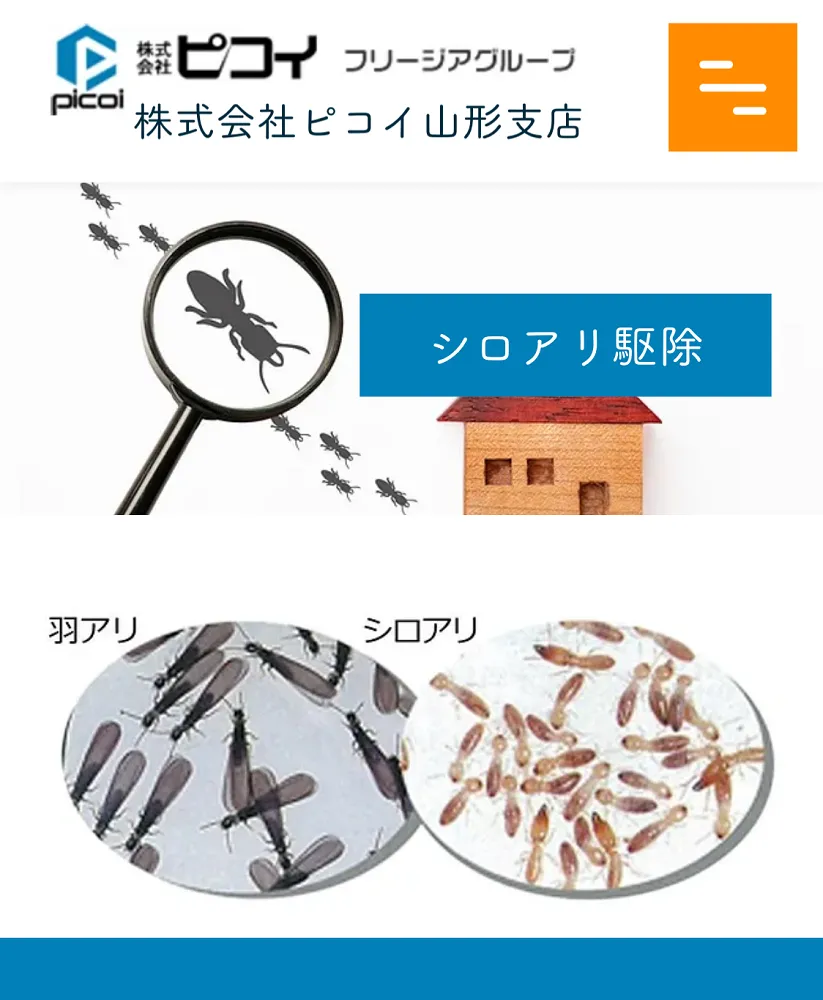 ピコイ