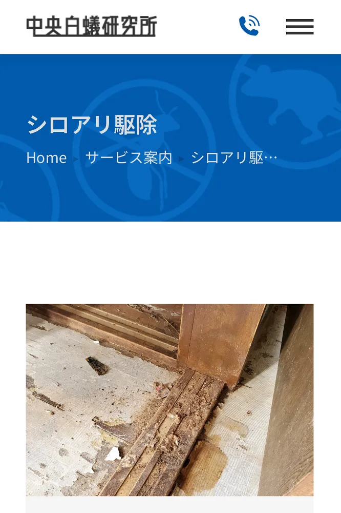 中央白蟻研究所