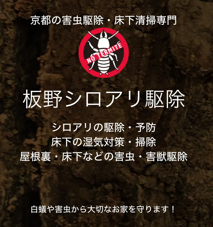 板野シロアリ駆除
