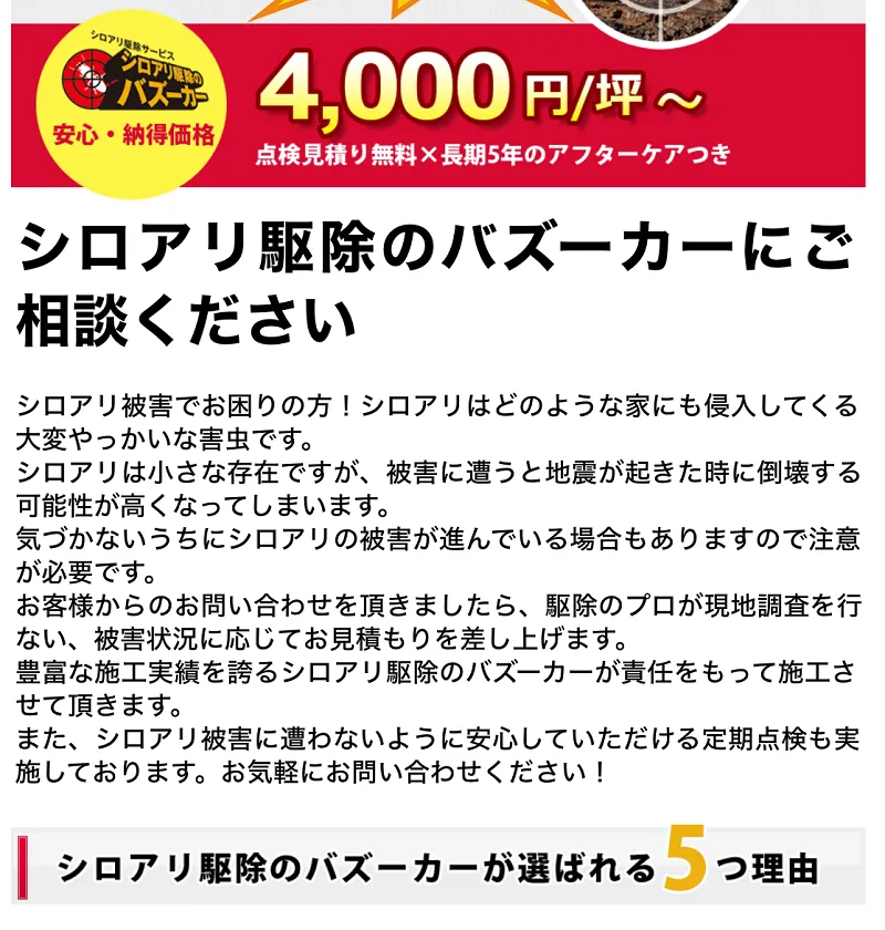 シロアリ駆除のバズーカー